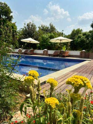 Svay Pao Bed & Breakfast | La maison bleue BTB