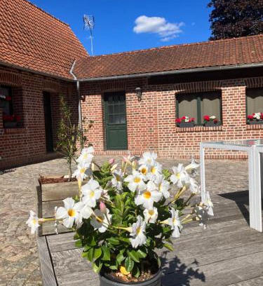 Marquillies Bed & Breakfast | La Marquille