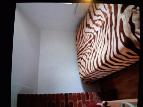 Bicaz House | La munte