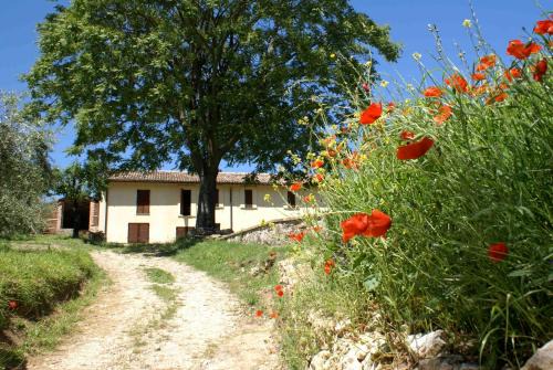Acquasparta House | La Perticara Agriturismo