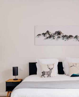 Scionzier Apartment | La Suite D'Hélène - Appartement - 50m2 entre Genève et Chamonix - Parking Privé - Wifi