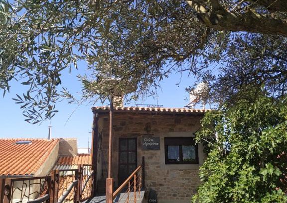 Aldeadavila de la Ribera Apartment | La Teodora