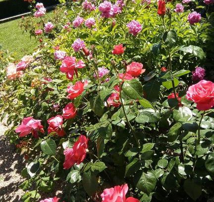 Villelongue-d'Aude Bed & Breakfast | La Vigneronne