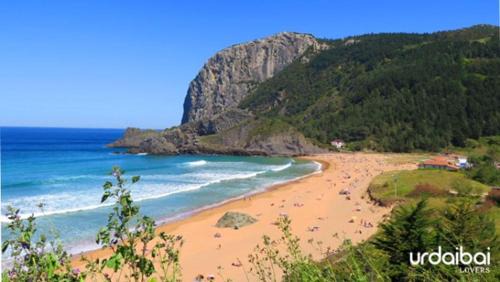 Ibarranguelua Ski Chalet | LAGA SURFING IBARRANGELU