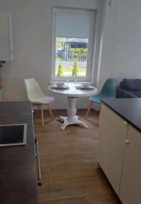 Panevezys county Apartment | Lake apartments