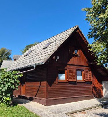 Kocevje House | Lake house Amur