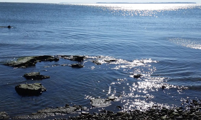 Put-in-Bay Condo | Lakefront Condos C &/or D - sleeps 4 - 8
