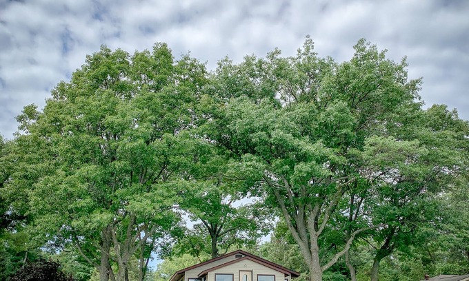 Baxter House | Lakehouse on Whitesand Lake