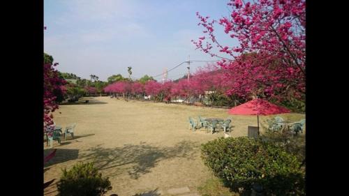 Gukeng Cabin | Lakeside Camping Resort