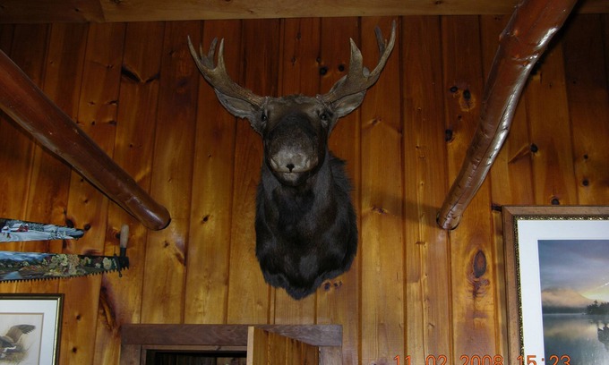 Princeton Cabin | Lakeside Log Cabin: Breathtaking Natural Beauty Pocomoonshine Lake Bass fishing