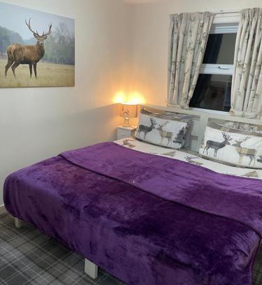 Lamlash House | Lamlash (holiday) Lets
