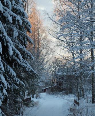 Saarijarvi Ski Chalet | Lamminkangas Cottage