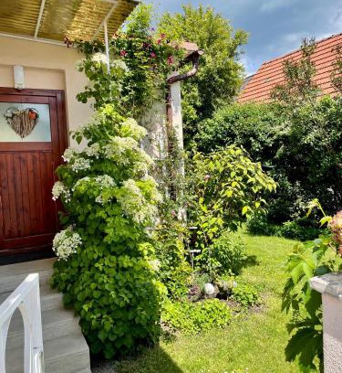 Markt Sankt Martin House | Landhaus mit Garten