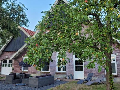 Losser House | Landhuis onder de lindeboom