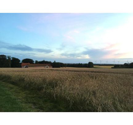 Lem House | Landlig idyl på Degnbol