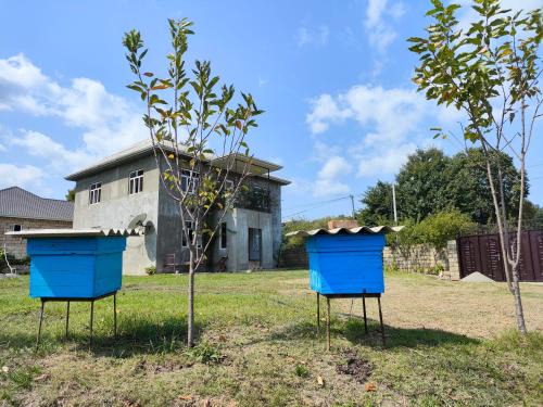 Azerbaijan Bed & Breakfast | Lankaran Hot Springs Stay