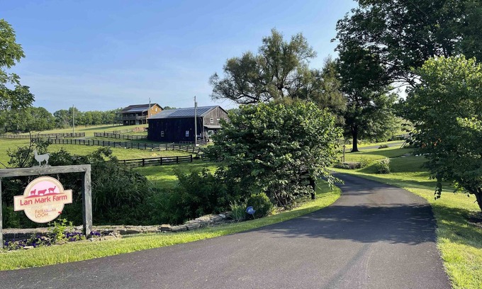 Moorefield Cabin | LanMark Farm Spacious Country Get-Away Ground Floor Suite