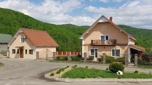 Solochyn House | Lara