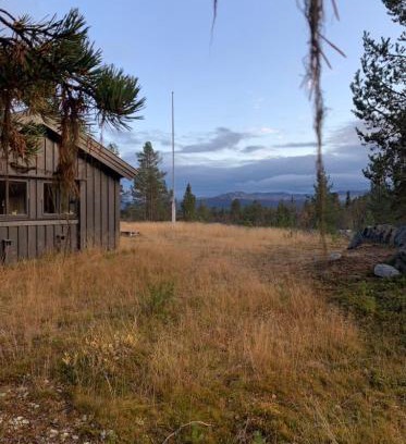 Nore og Uvdal Ski Chalet | Large and family friendly cabin near Langedrag