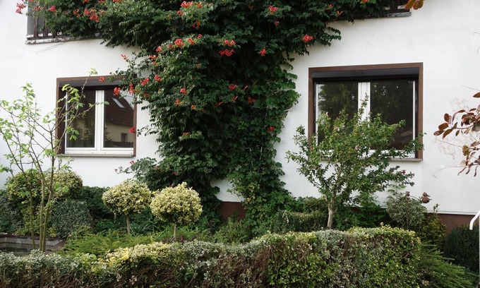 Schonwalde Apartment | Large apartment in beautiful Havelland on the outskirts of Berlin-Spandau
