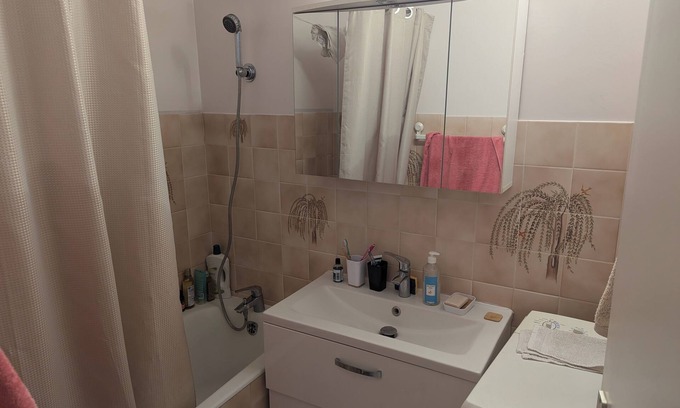 Bourroches Apartment | Large, comfortable apartment in Dijon, well located and well exposed.