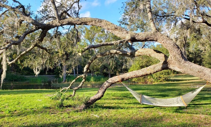 Crescent City House | Larperland 3 bed, 1 bath, 1 gig Wi-Fi, Fence