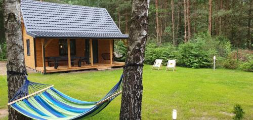 Narewka House | Leśne Zacisze