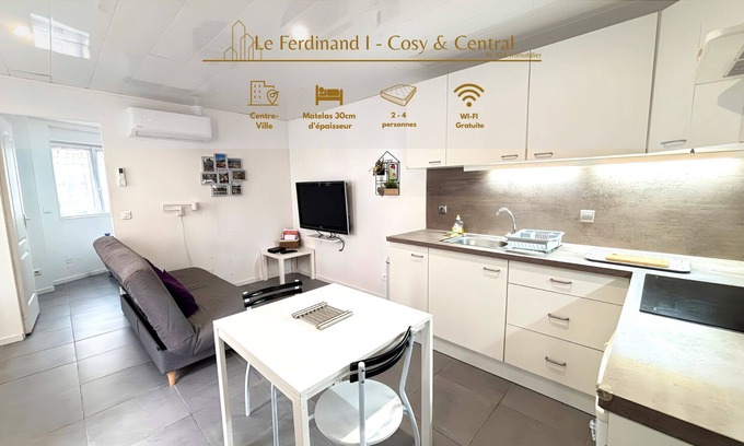 Roanne Apartment | Le Ferdinand I - Cosy and Central