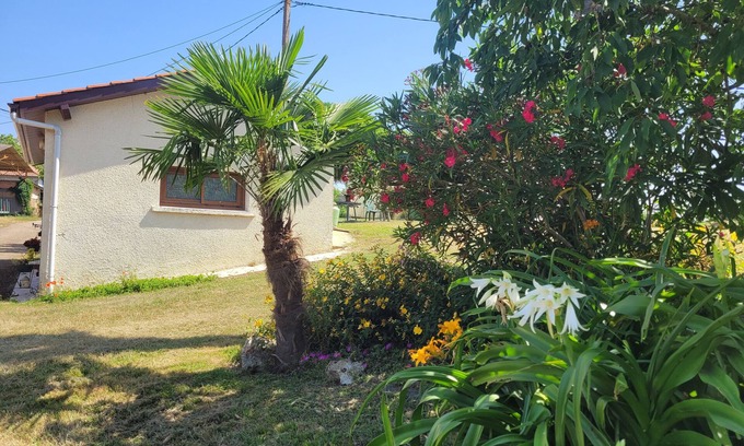 Saint-Arroumex House | Le Gîte De Gayssanes: Charm and Tranquility in the Heart of Nature