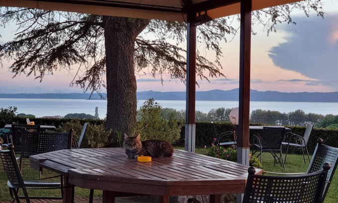 Bolsena House | Le vigne