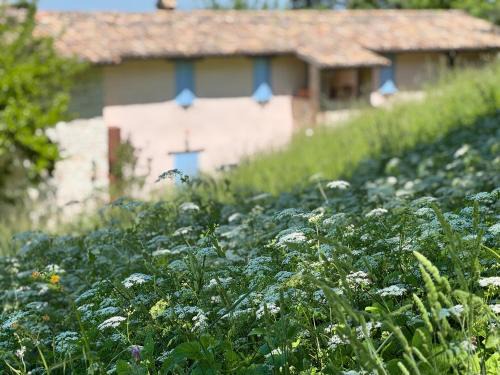 Fossombrone House | LeCannelleAgriBenessere
