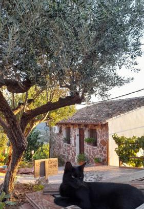 Gatova House | Les Eres de Gátova
