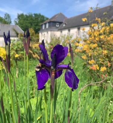 Saint-Derrien House | Les Gîtes du Manoir de Keryvon