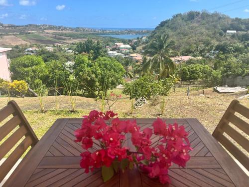 Le Vauclin Apartment | Les locations de Miche 2ch
