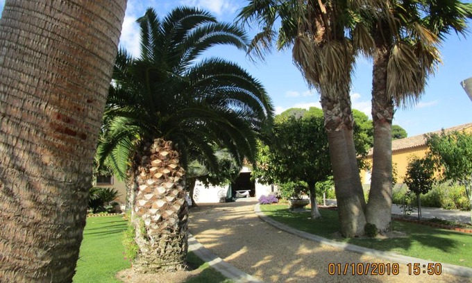 Vias House | les palmiers
