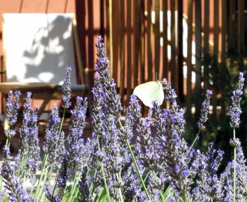 Besse-sur-Issole Bed & Breakfast | Les Pierres Sauvages