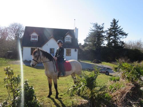 Letterfrack House | Letterfrack Farmhouse on equestrian farm in Letterfrack beside Connemara National Park