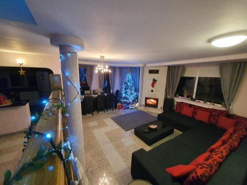 Alba Iulia House | Lidia House