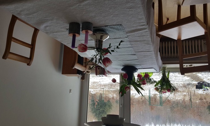 Waldtrudering House | Lightfilled familyfriendly house with big garden