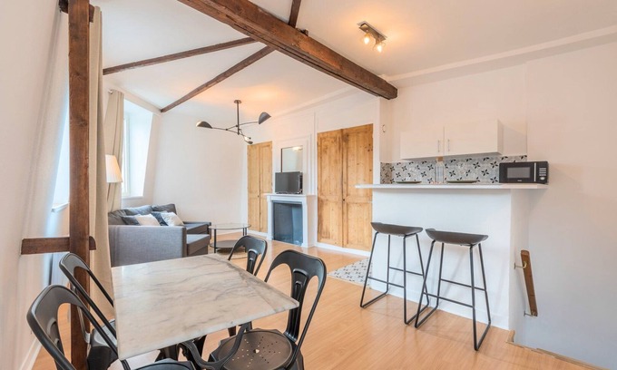 Saint-Maurice Pellevoisin Apartment | Lille : 7 minutes from the train stations!
