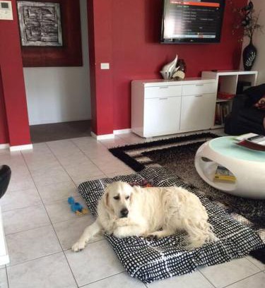 Lilli Pilli House | LILLI PILLI SUBLIME Family and Dog Friendly by the Beach