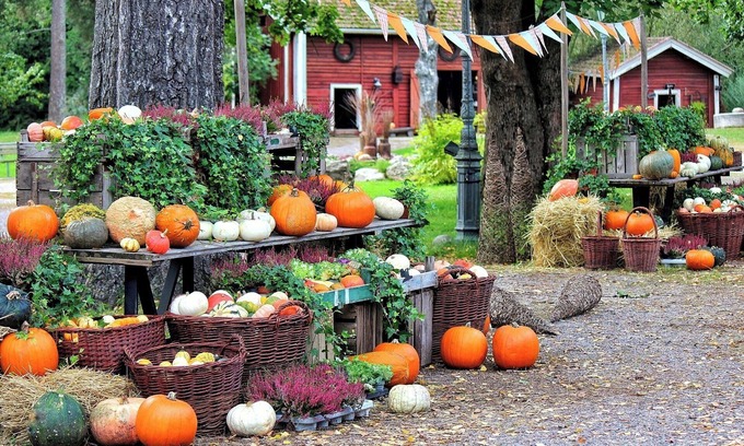Ina House | Limited Time Offer Happy Halloween AllInclusiv/Ina Nagano
