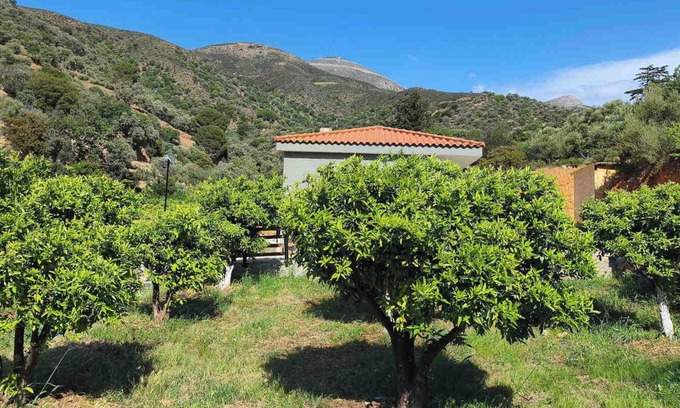 Fodele Villa | Litinos Villa Mary