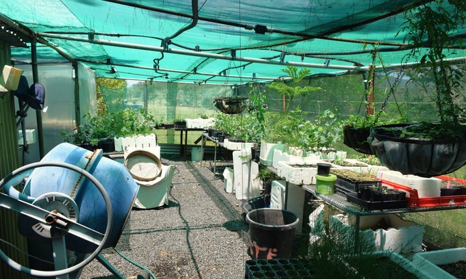 Wallabadah House | Little House in the Nursery