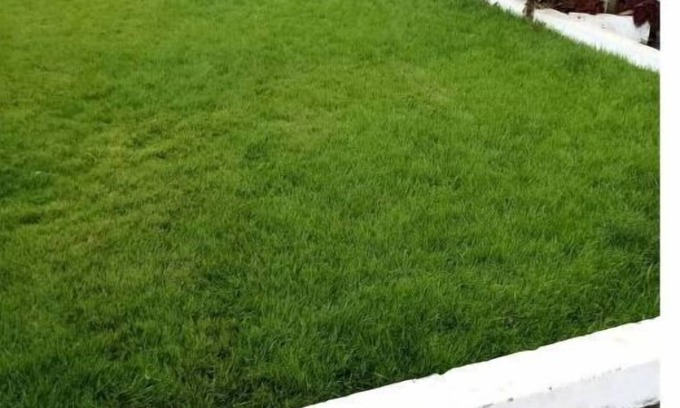 Ogbodjo Apartment | Little Rome adirigano
