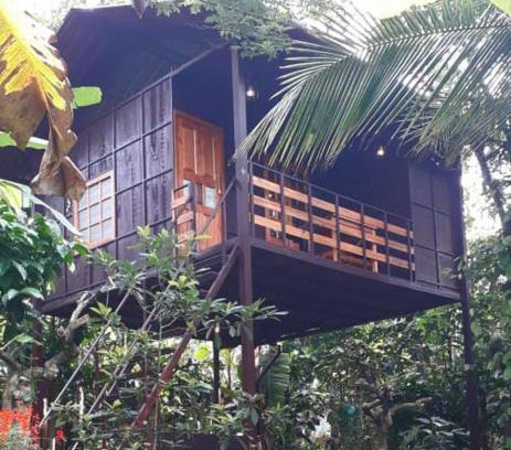 Amalavayal House | Lo Adoro Tree Hut Tourist Homestays