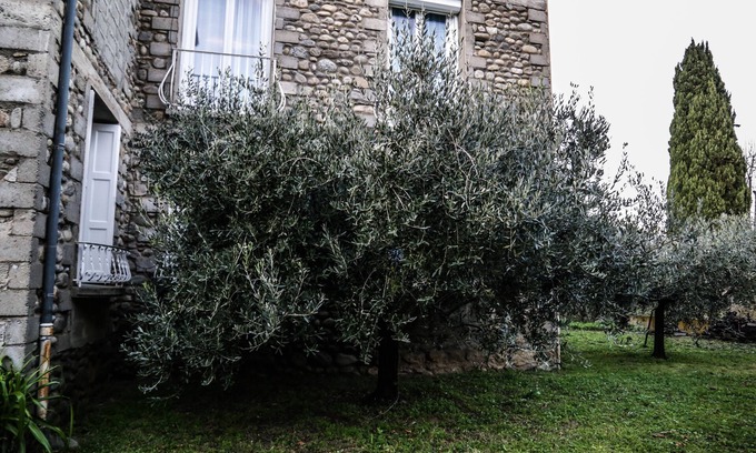 Prades Apartment | Location du Canigou, Gîte 6 people. Hiking, Heritage, Festivals, Cures.