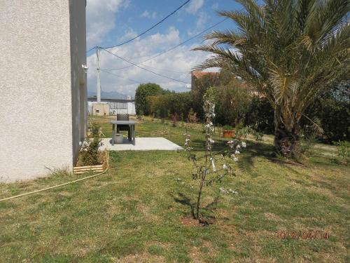 Bravone Apartment | location vacances
