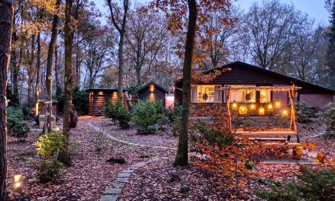 Rheezerveen House | Lodge in a wooded area with Hot Tub & Sauna