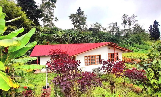 Nanegalito House | LODGE NATAN